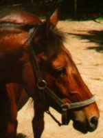 HINKA