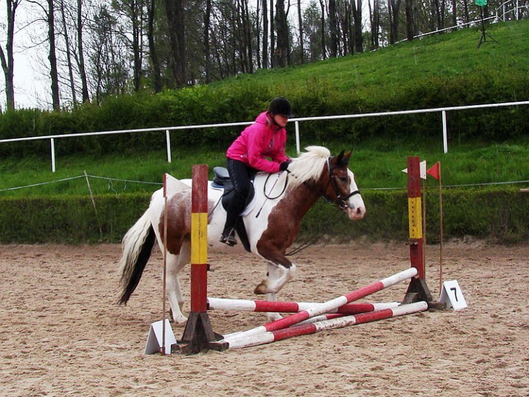 Wiosenne Zawody Jeździeckie w&nbsp;Tabunie 2016
