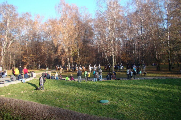 Piknik Niepodległości 2018
