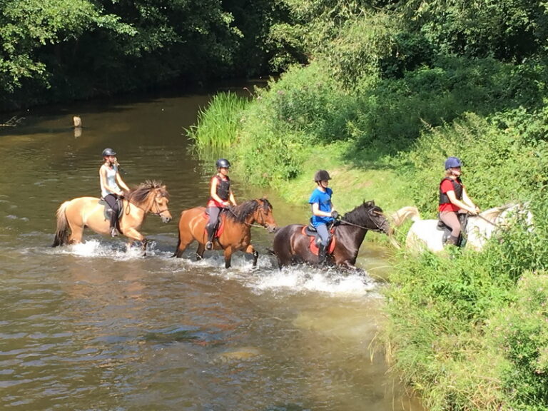 Obóz jeździecko-rowerowy – Kurozwęki 2019