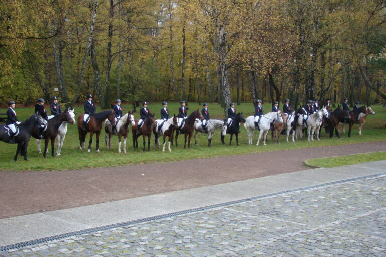 Piknik Niepodległości 2019