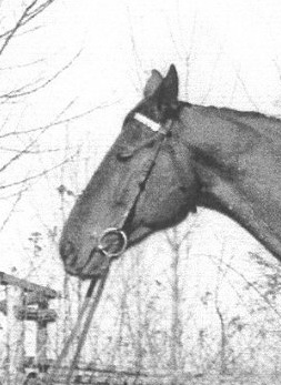 CZARDASZ