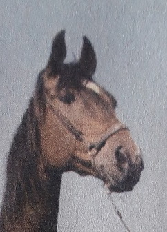 JABŁONNA