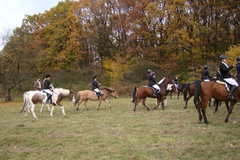 Hubertus 2016 – cz.2