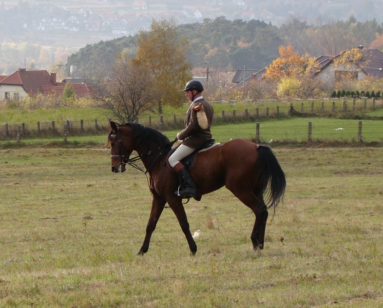 Hubertus 2016 – uczestnicy
