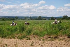 0011