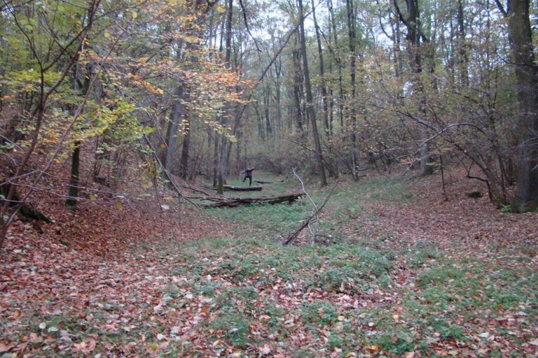 Hubertus 2018 – cz.2