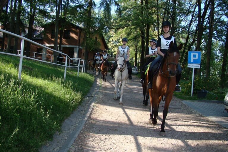 Zawody jeździeckie z&nbsp;elementami TREC 2018 – koniec