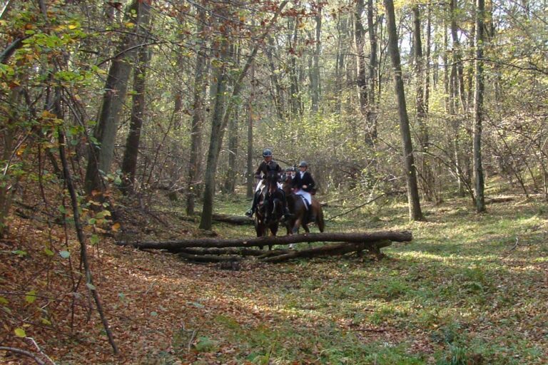 Hubertus 2019 – cz.2