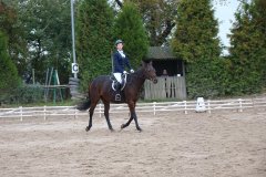 0005