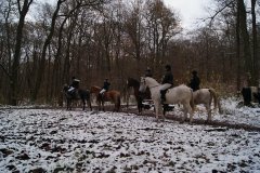 0031