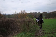 0019