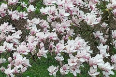 0013