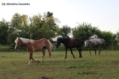 0005