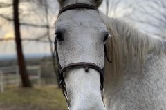 0025