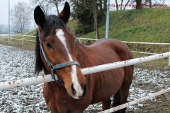 0025
