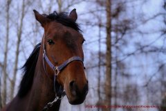 0001