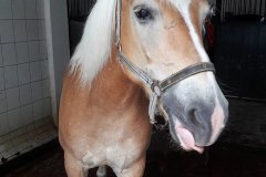 0020