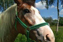 0018